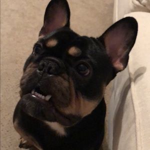 Meet your Posher, Jessica